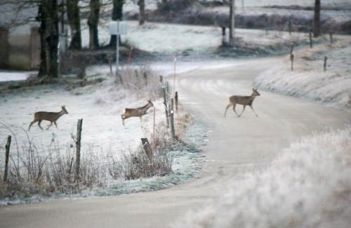 le refuge des Marmottes - Foto 26