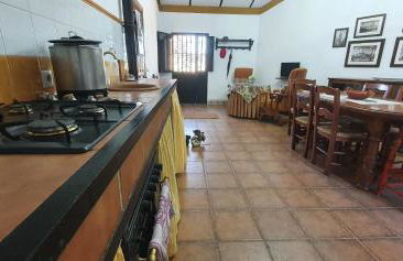 Huerta Carrión, Finca en El Pedroso - Foto 43