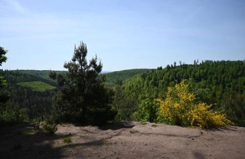 Un étage entier dans une maison - Foto 40