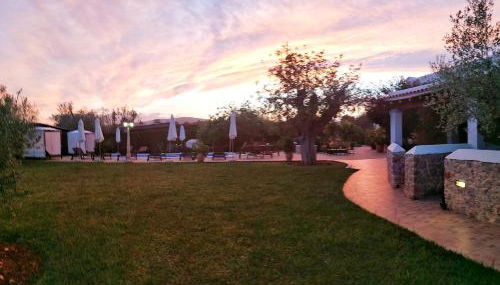 Agroturismo Sa Vinya d'en Palerm - Foto 5, Garden