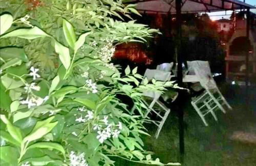 HARMONY HOUSE - Photo 31