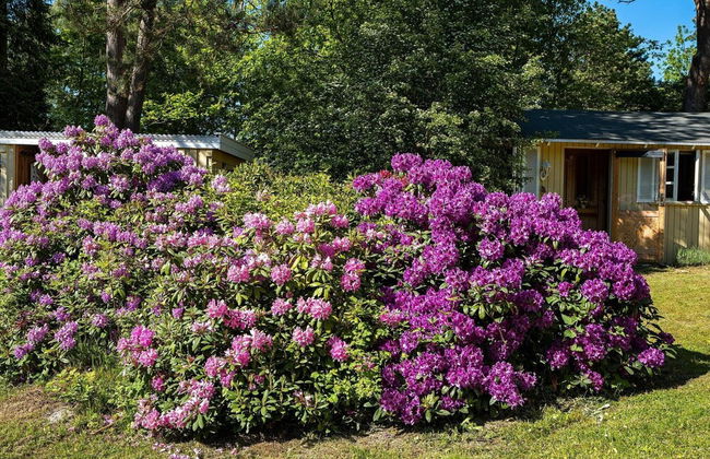 8 Person Holiday Home in Rorvig - Foto 16