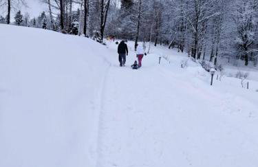 Bieszczadzkie Dworki - Foto 79