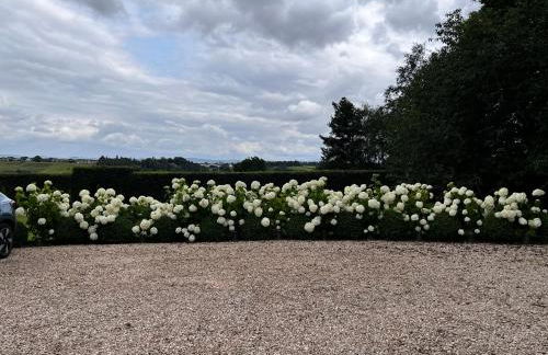Quaint self contained cottage near Edinburgh. - Foto 15