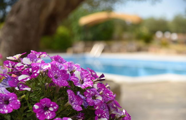 Il Borgo Delle Querce - Foto 59