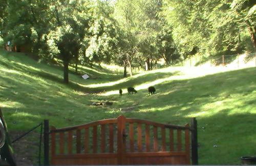 Gîte de la baerenbach - Photo 17