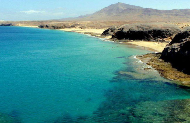 Palmeras Garden - Foto 71