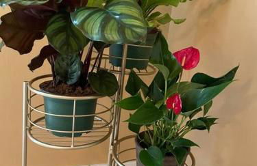 The Groves at Redway Beach - Studio - Foto 52