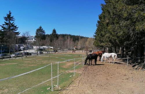Ferienwohnung Mia - Foto 26