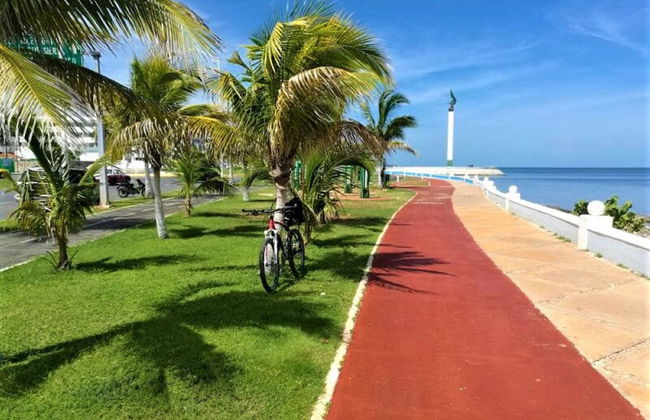 Kaeli's Caribbean Studios - Photo 63