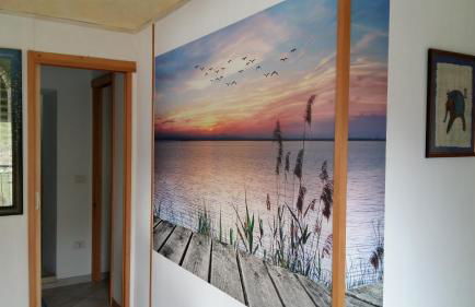 Casa delle Camelie - Foto 22