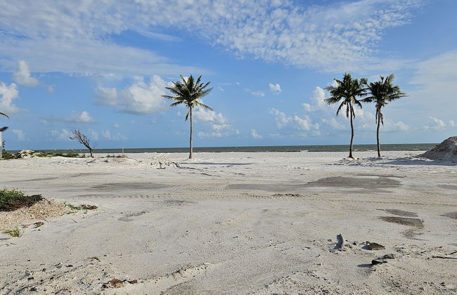 Coral by the Sea 3054, Sleeps 8, Walk to Beach - Photo 28