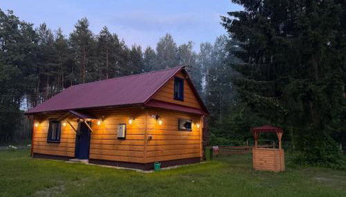 Ranczo Stany - Photo 4