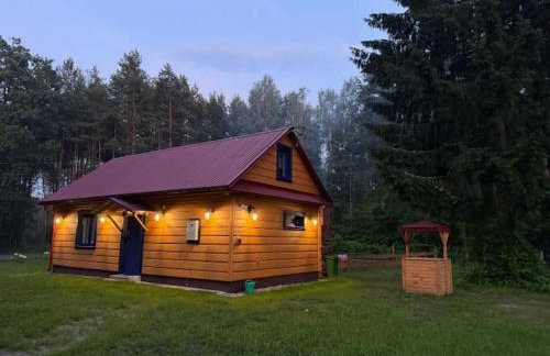 Ranczo Stany - Foto 4