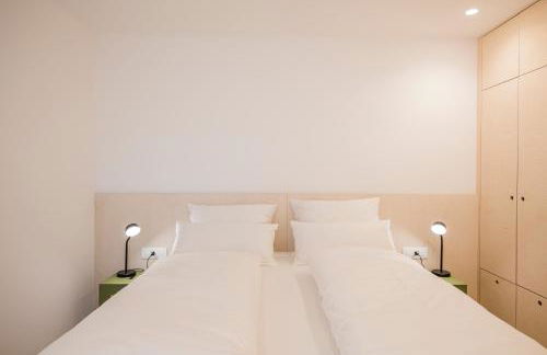 stella alpina - Foto 9