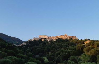 Cozy Studio - Foto 13