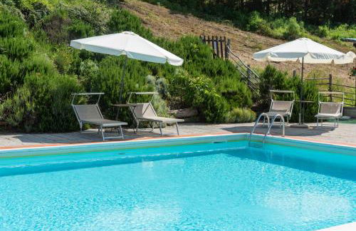 Universal Harmony - Usignolo - Foto 20