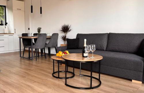 Szklane Domki Ińsko - Foto 6