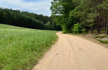 Casa Kashubia - Kaszuby Domek nad jeziorem I cisza natura i luksus - Foto 55