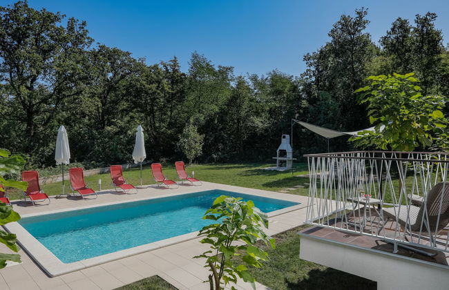 Forest Fairy - Foto 6