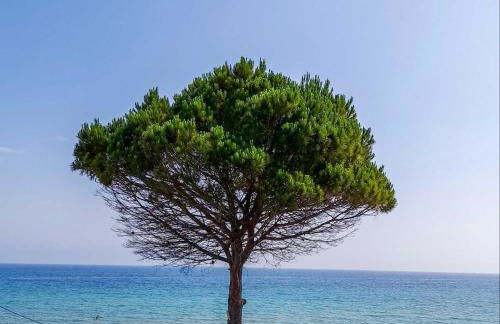 Red Sun Apartments - Foto 1