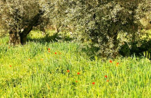Casa Batalla - Foto 5