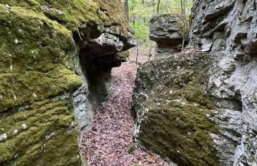 Caribou Cabin at Thunder Bluff - Foto 28