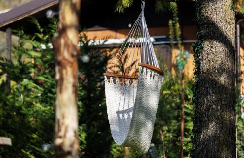 Nido di vetro - Foto 37