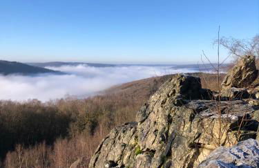 Chalet LE BAUSOY - Foto 20