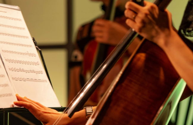 Concert d'opéra à Rome - Photo 5