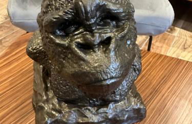 Jungle room - Foto 11