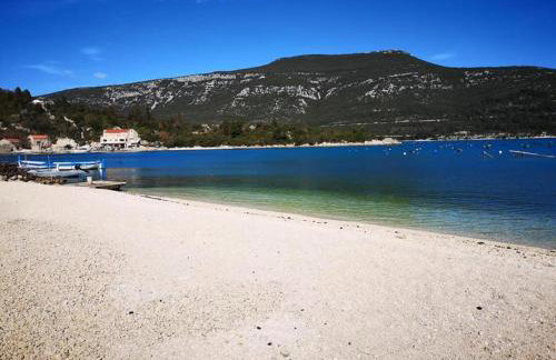 Marine Rhapsody - Foto 16