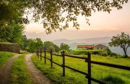 Quinta do Caritel - Foto 40