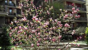 Danae Home - Foto 3, Garden