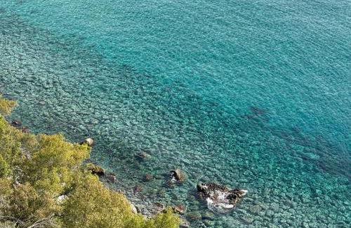 appartamento in villa a Pietragrande Villa Mi Vida - Photo 65