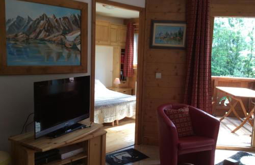 Facing the Chamonix Needles - Foto 10