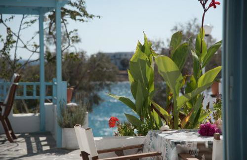 Paros Carmel studio-apartment - Photo 14