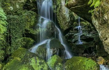 Eine gemütliche Ferienwohnung - Photo 36