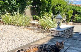 Villa Flora - Foto 29