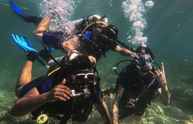 Plongée à Cala Portals Nou - Photo 7