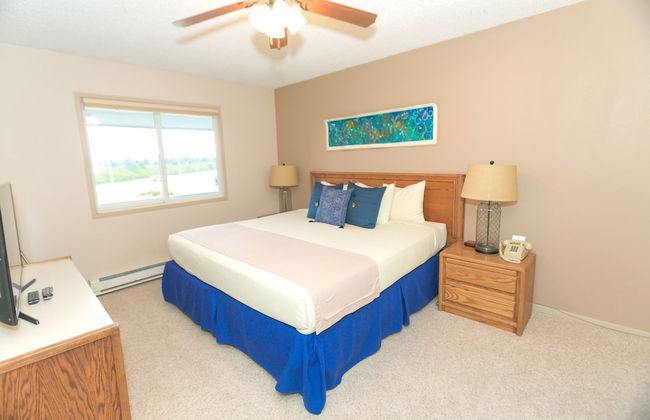 The Grey Gull - Foto 22