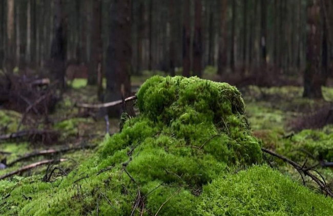 Luxury Retreat With Spa - By Traum Ferienwohnungen - Foto 33