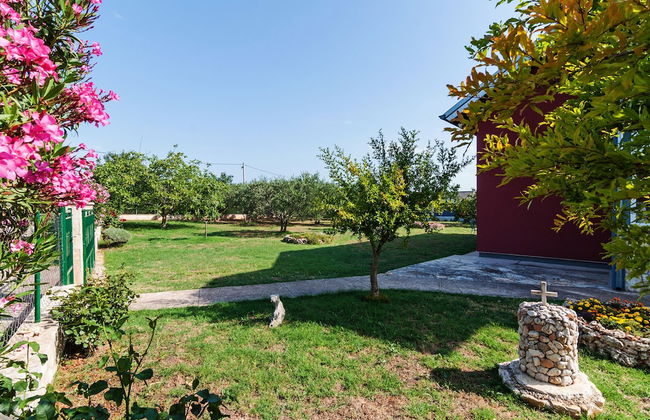 Villa Chervil Zadarvillas - Photo 10