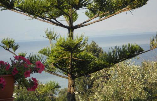 Gina Studios - Foto 29