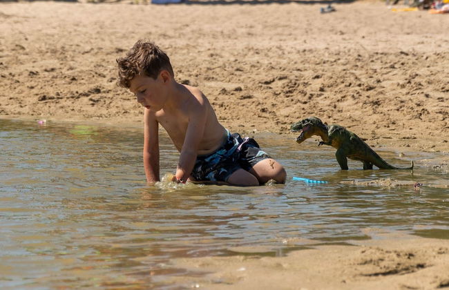 Chalet Near Antwerp With Pool Access - Photo 40