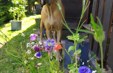 Ferienwohnung GABI - Foto 26