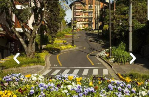 Flores da Montanha - Foto 62