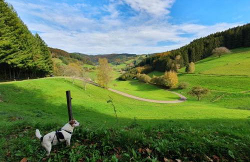 Am Siegelbächle Berg blickt - Foto 46