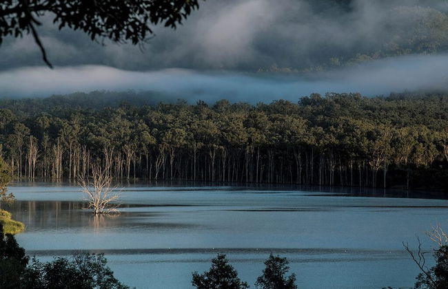 Wander in the Scenic Rim - Foto 27