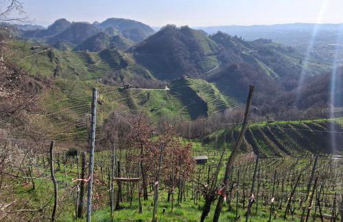 C'era una volta un mulino - Photo 29